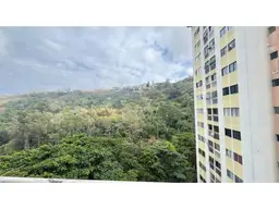 View 14