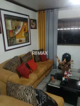 Vista 1