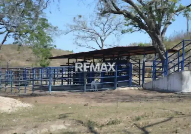 Venta de Finca La Culata 580 Hectáreas Tinaquillo Cojedes $ 270.000 Negociable
