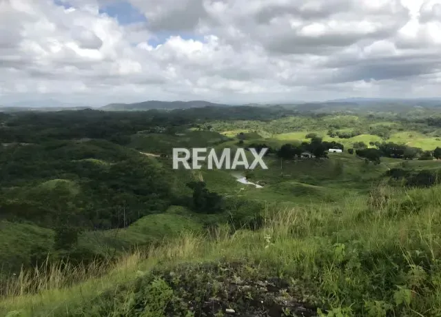 Venta de Finca La Culata 580 Hectáreas Tinaquillo Cojedes $ 270.000 Negociable - 14