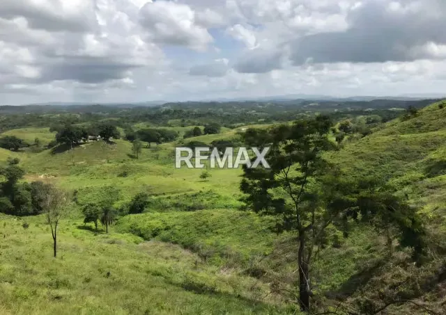 Venta de Finca La Culata 580 Hectáreas Tinaquillo Cojedes $ 270.000 Negociable - 15
