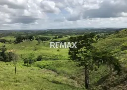 View 15