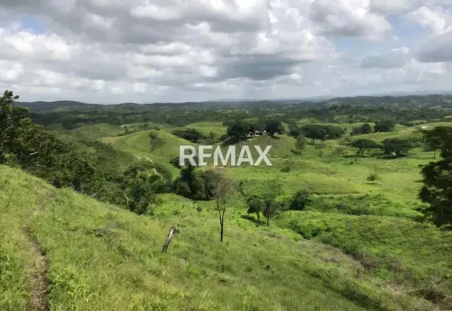 Venta de Finca La Culata 580 Hectáreas Tinaquillo Cojedes $ 270.000 Negociable - 16