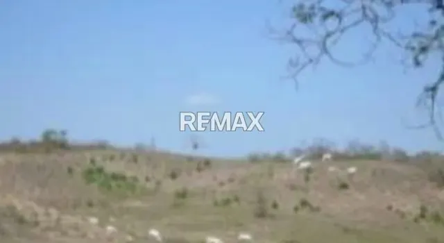 Venta de Finca La Culata 580 Hectáreas Tinaquillo Cojedes $ 270.000 Negociable - 6