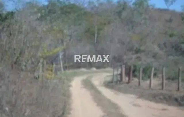 Venta de Finca La Culata 580 Hectáreas Tinaquillo Cojedes $ 270.000 Negociable - 9