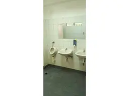 Vista 11