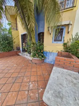Vista 1