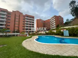 Vista 4