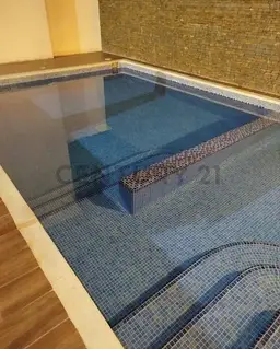 Vista 25