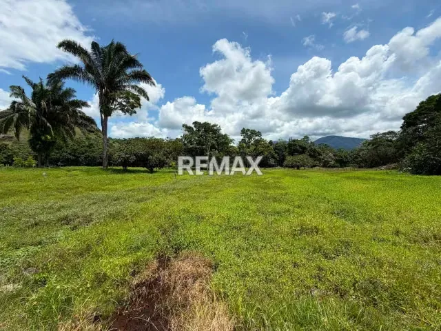 Finca. Venta. Naranjales, Fernandez Feo - 13