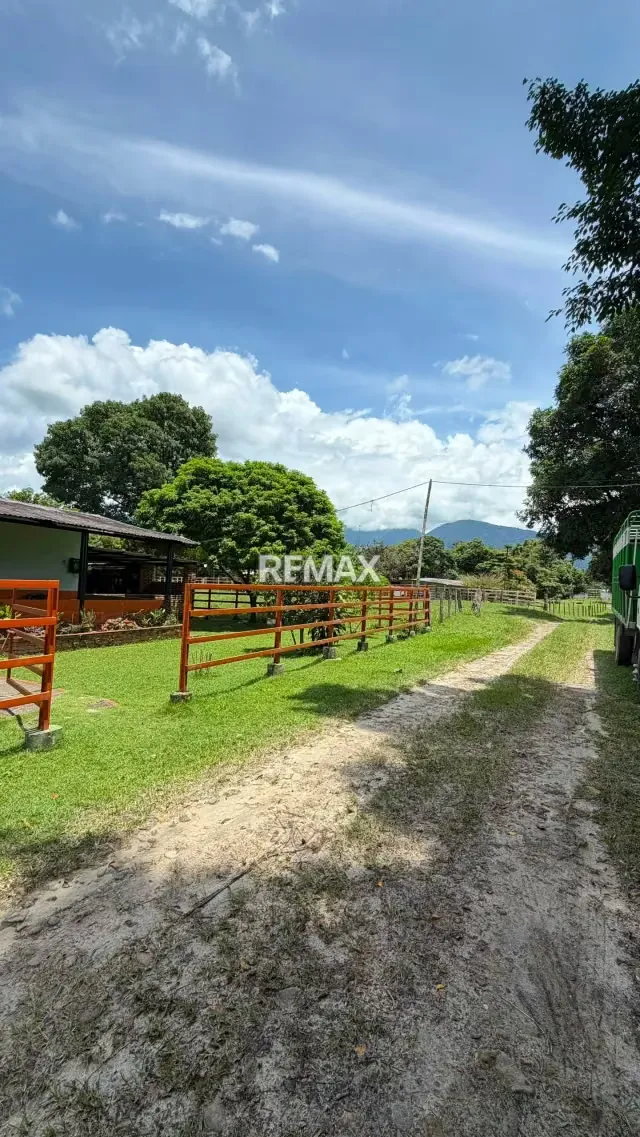 Finca. Venta. Naranjales, Fernandez Feo - 14