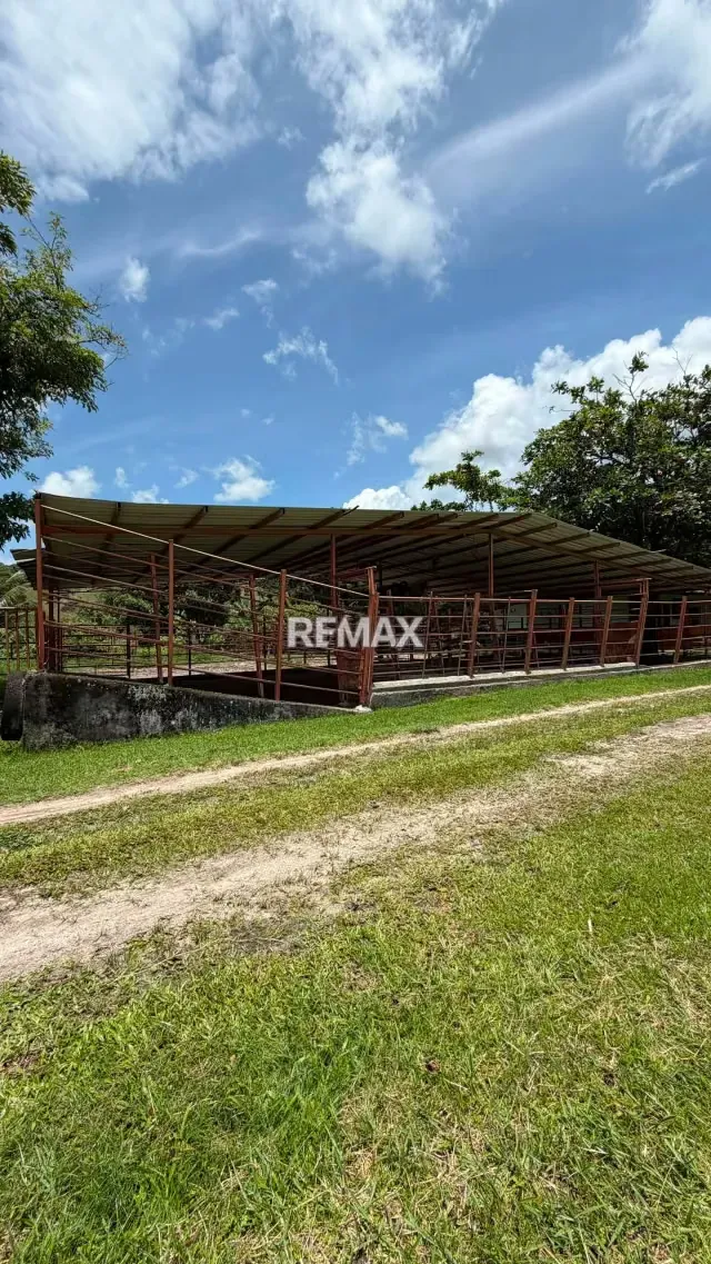 Finca. Venta. Naranjales, Fernandez Feo - 15