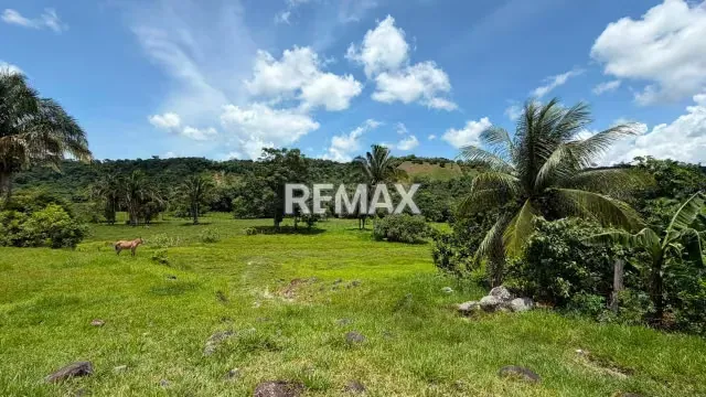 Finca. Venta. Naranjales, Fernandez Feo - 17