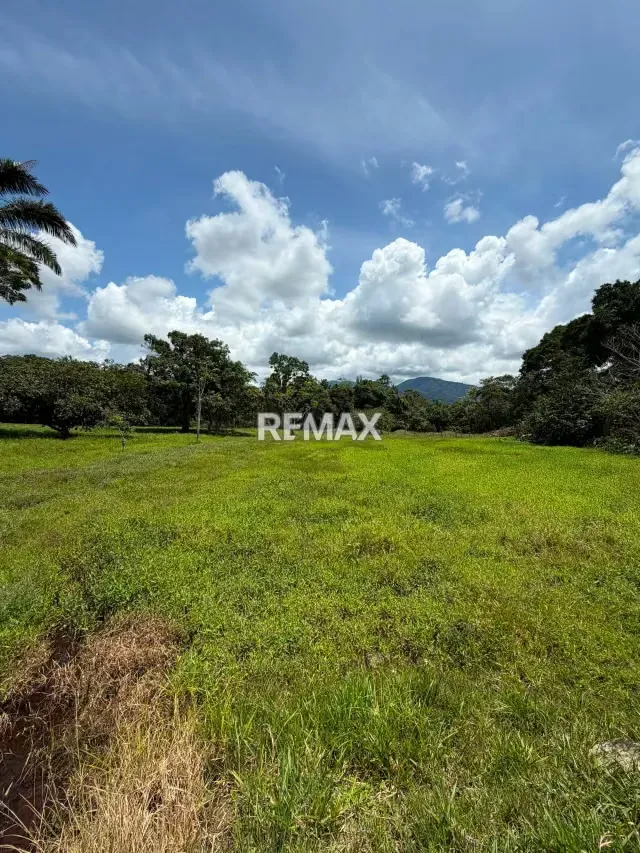 Finca. Venta. Naranjales, Fernandez Feo - 18