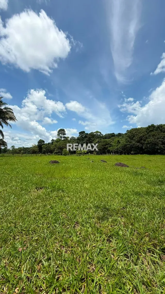 Finca. Venta. Naranjales, Fernandez Feo - 19