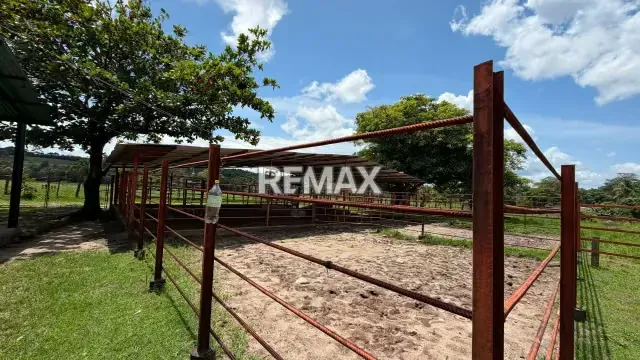 Finca. Venta. Naranjales, Fernandez Feo - 20
