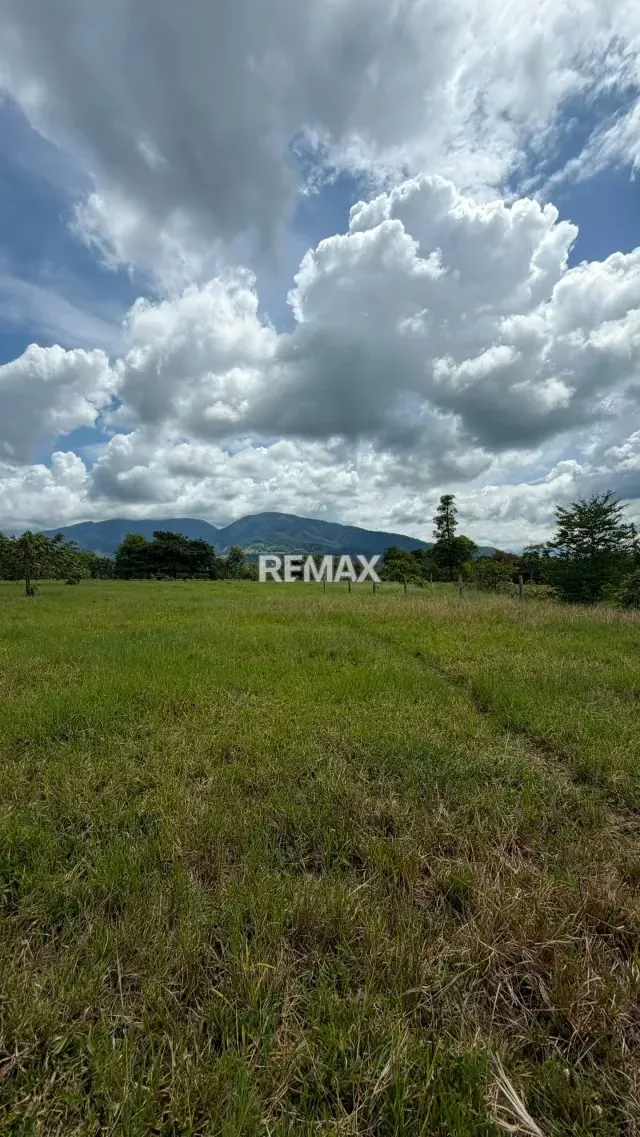 Finca. Venta. Naranjales, Fernandez Feo - 2