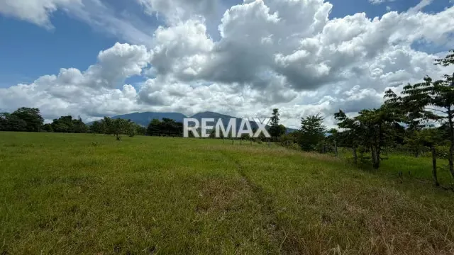 Finca. Venta. Naranjales, Fernandez Feo - 3