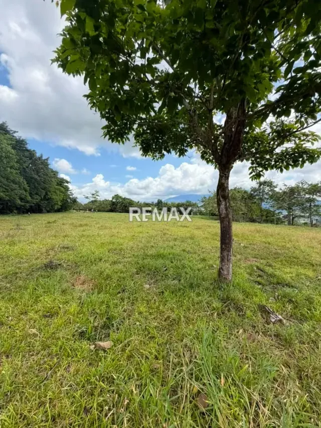 Finca. Venta. Naranjales, Fernandez Feo - 4