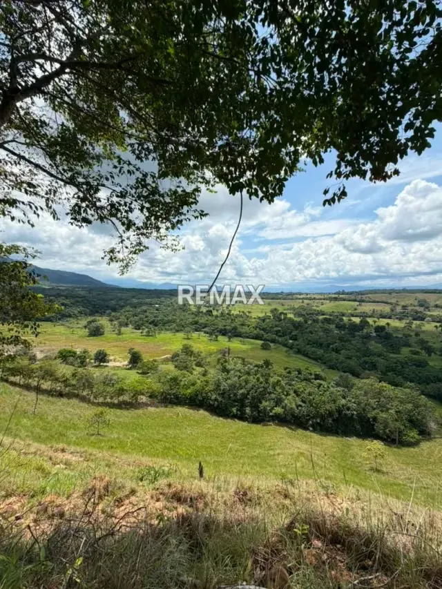 Finca. Venta. Naranjales, Fernandez Feo - 5