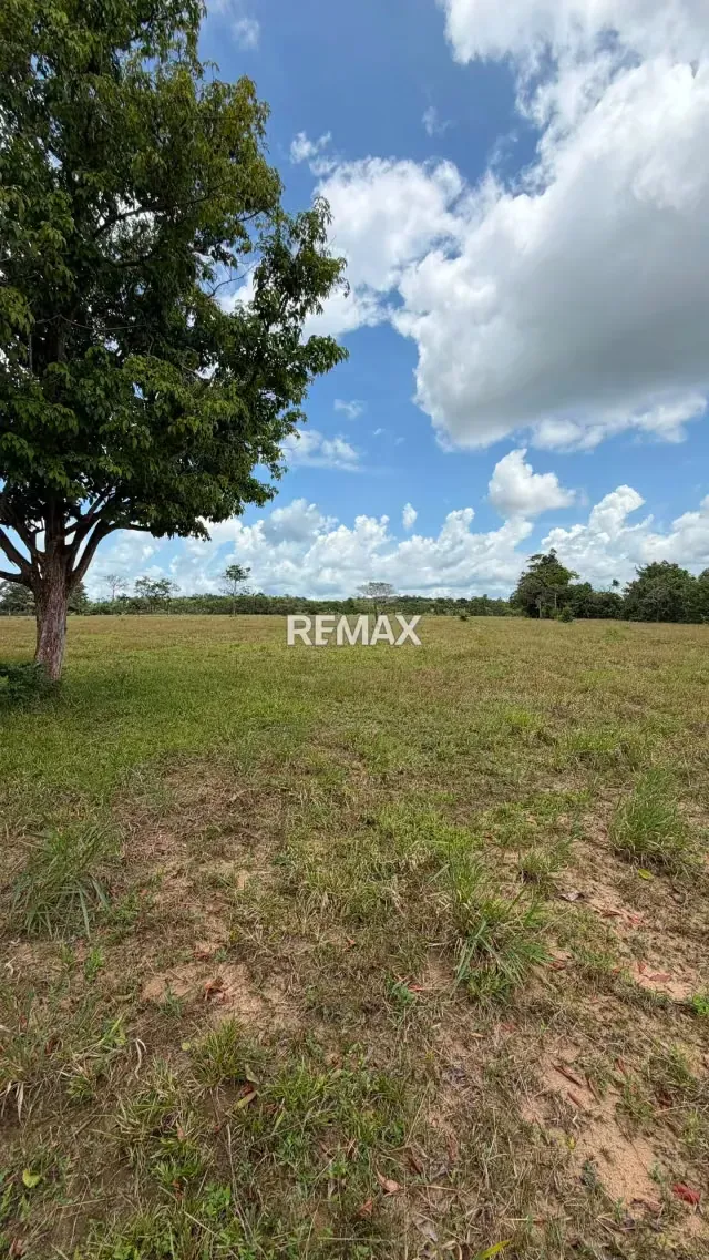 Finca. Venta. Naranjales, Fernandez Feo - 6