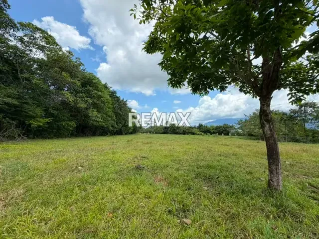 Finca. Venta. Naranjales, Fernandez Feo - 7