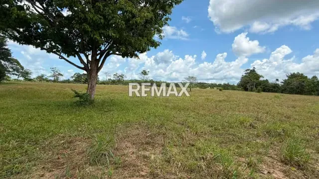 Finca. Venta. Naranjales, Fernandez Feo - 10