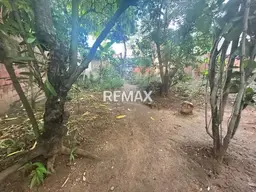 View 11