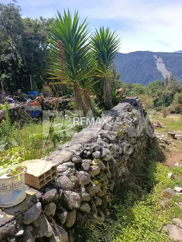 Finca en Terreno - 12