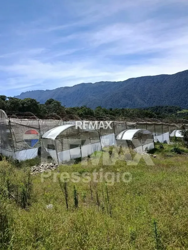 Finca en Terreno - 13