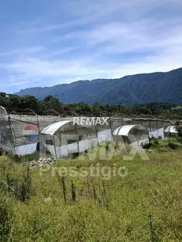 View 13
