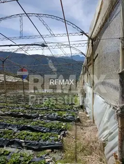 View 14