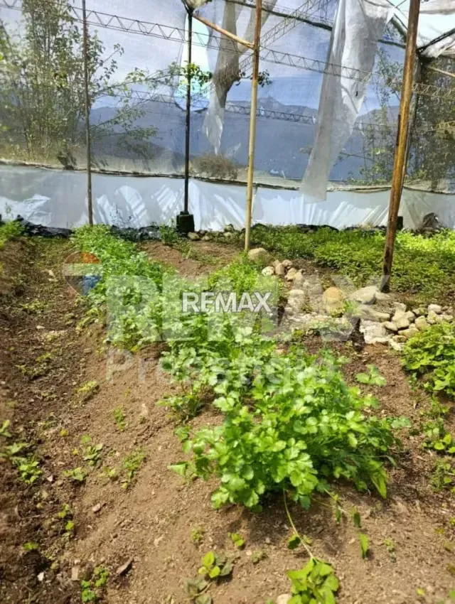 Finca en Terreno - 20