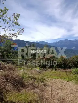 View 3