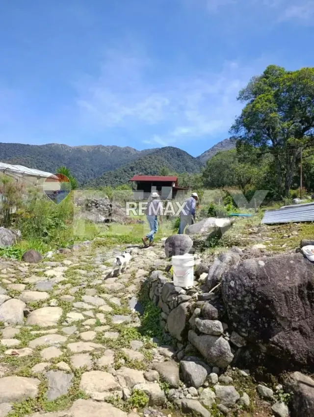Finca en Terreno - 4