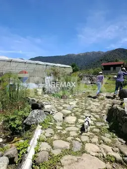 View 5