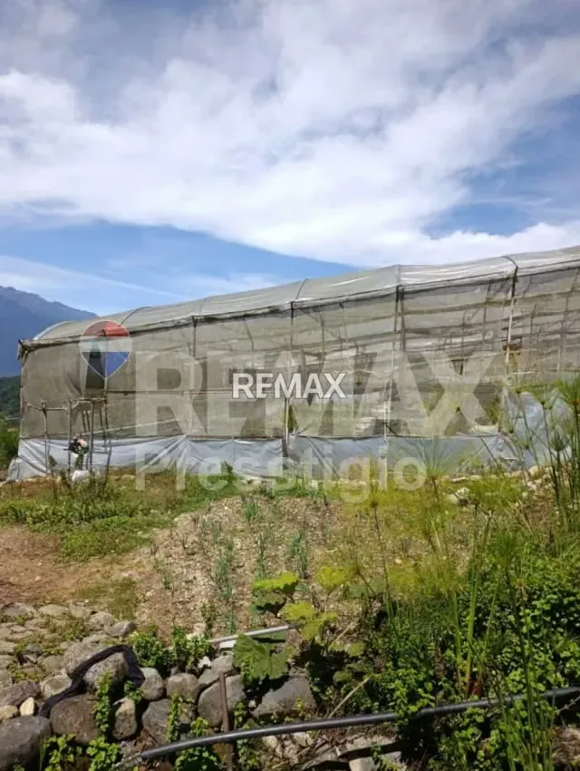 Finca en Terreno - 9