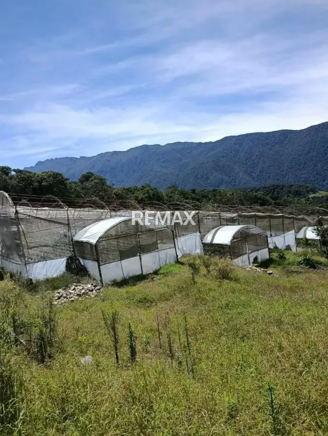 Finca en Terreno - 10