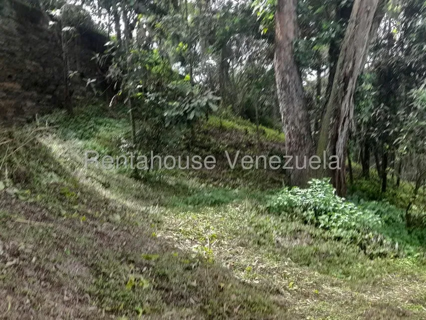 Terreno (Comercial) en Venta en El Carrizal, Miranda - 19