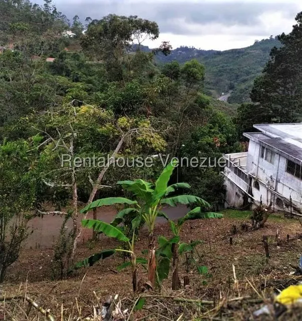 Terreno (Residencial) en Venta en El Carmen, Miranda - 4