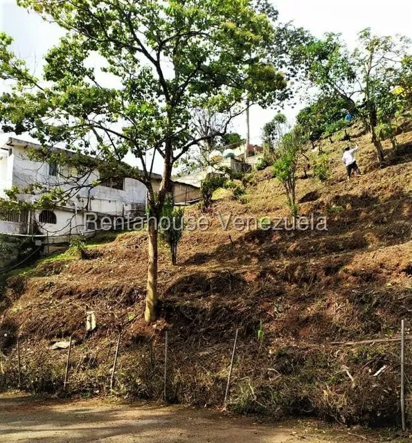 Terreno (Residencial) en Venta en El Carmen, Miranda - 5