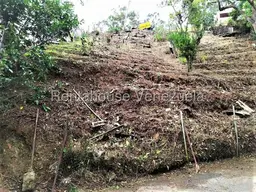 View 6