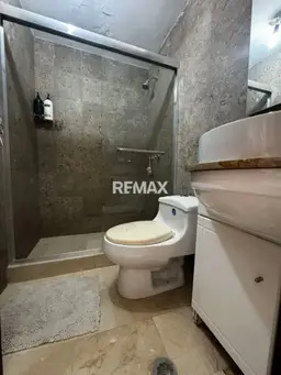 Vista 11