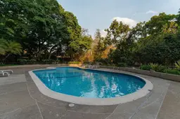 Vista 31