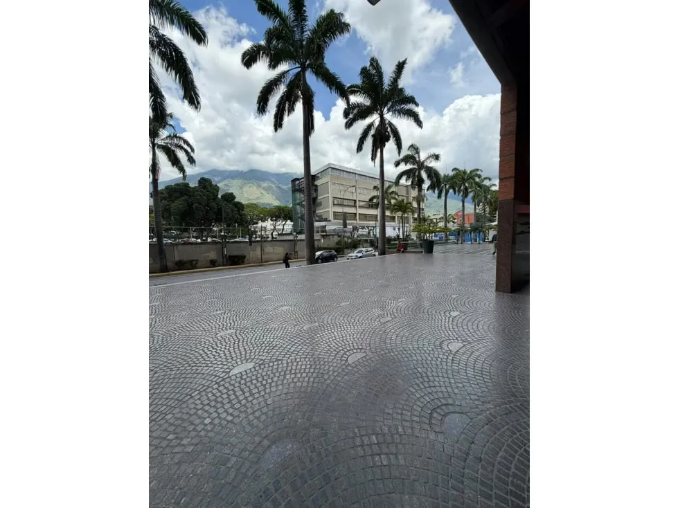 Se alquila Local Comercial 175m² La Castellana - 5
