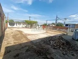 Vista 5