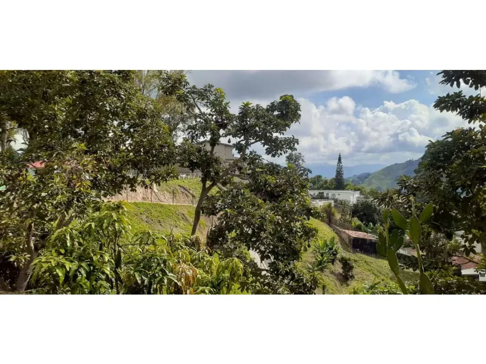 Los Picachos - Los Teques - 8