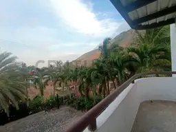 Vista 31