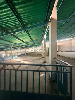 Vista 6