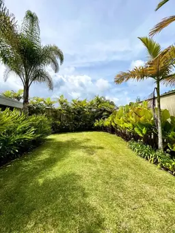Vista 18
